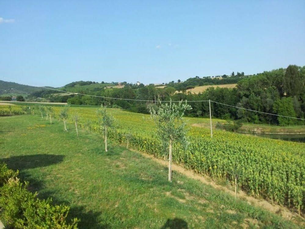 Agriturismo La Collina Del Sole Coltavolino المظهر الخارجي الصورة